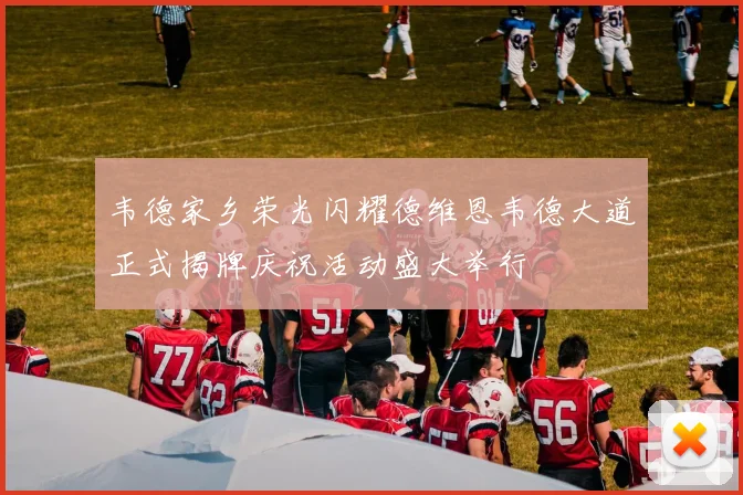 韦德家乡荣光闪耀德维恩韦德大道正式揭牌庆祝活动盛大举行